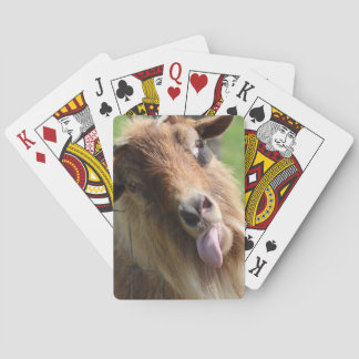 Uppspelningskort "Goat Ansikte" - Leverans Casinokort