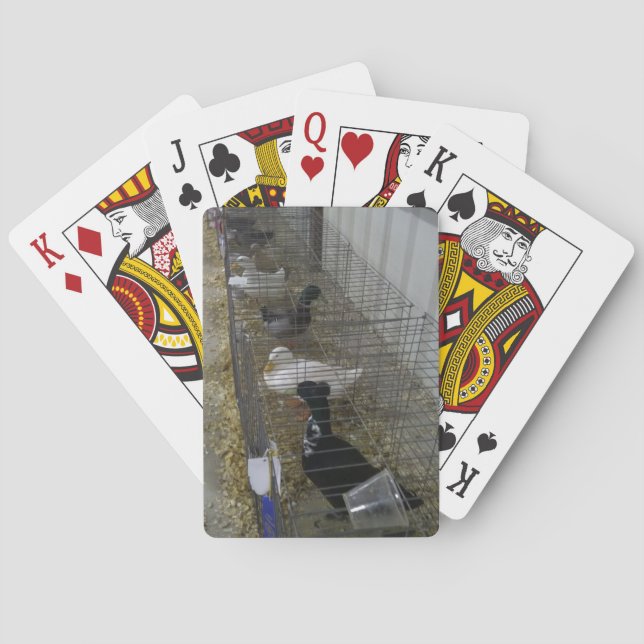 Uppspelningskort i anka casinokort (Baksidan)