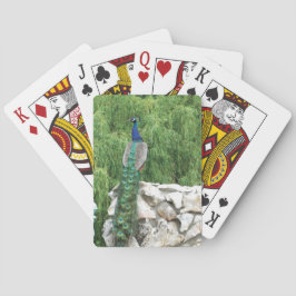 Uppspelningskort Peacock i trädgård Kortlek