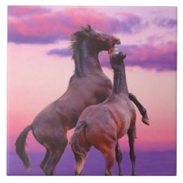 Uppspelningspanel för allioner kakelplatta