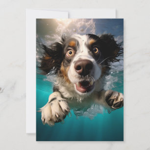 Uppspelt Hund Simmar Under Vatten Design Kort