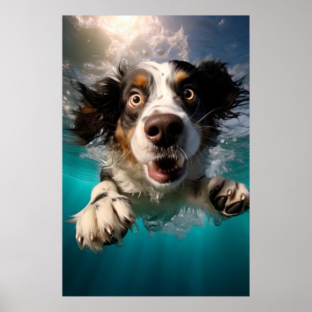 Uppspelt Hund Simmar Under Vatten Design Poster (Framsidan)