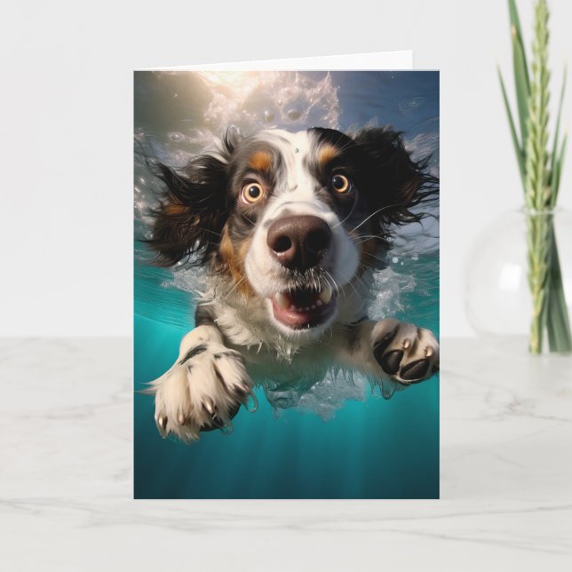 Uppspelt Hund Simmar Under Vatten Yta Design Kort (Framsida)