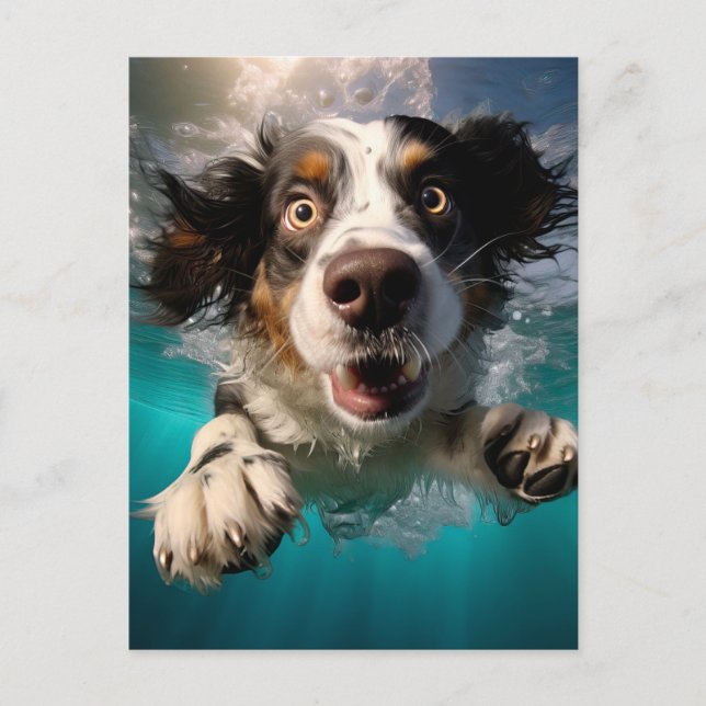 Uppspelt Hund Simmar Under Vatten Yta Design Vykort (Framsida)