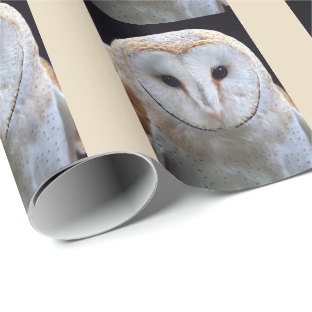 Uppstoppad Barnuggla Presentpapper (Rullad Hörn)