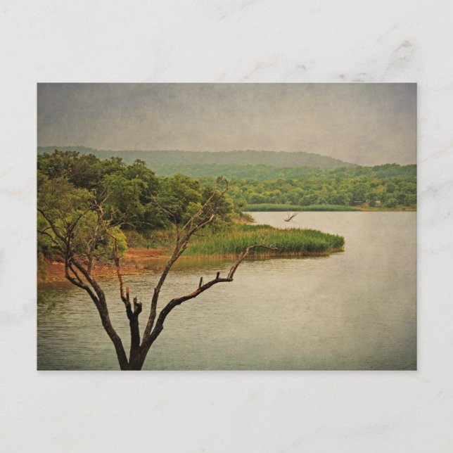 Upptäck Cedar Backe vykort (Framsida)