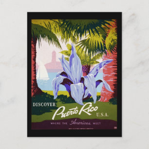 Upptäck Puerto Rico U.S.A. Vykort