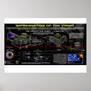 Upptäckt 12 tecken - Impregnering av jungfrun Poster