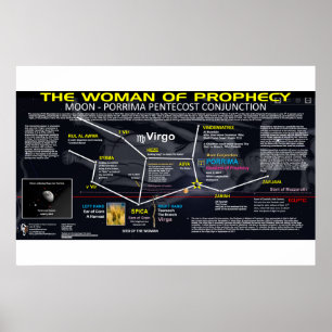 Upptäckt 12 tecken - Profekturens kvinna Poster