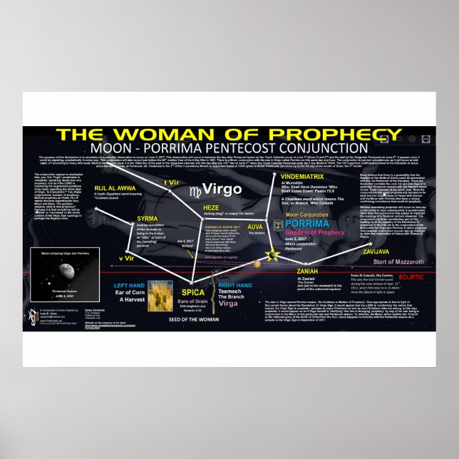 Upptäckt 12 tecken - Profekturens kvinna Poster (Framsidan)