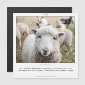 Upptäckt 3:5 GDS PROMISES SCRIPIX-kort Magnetisk Inbjudningskort