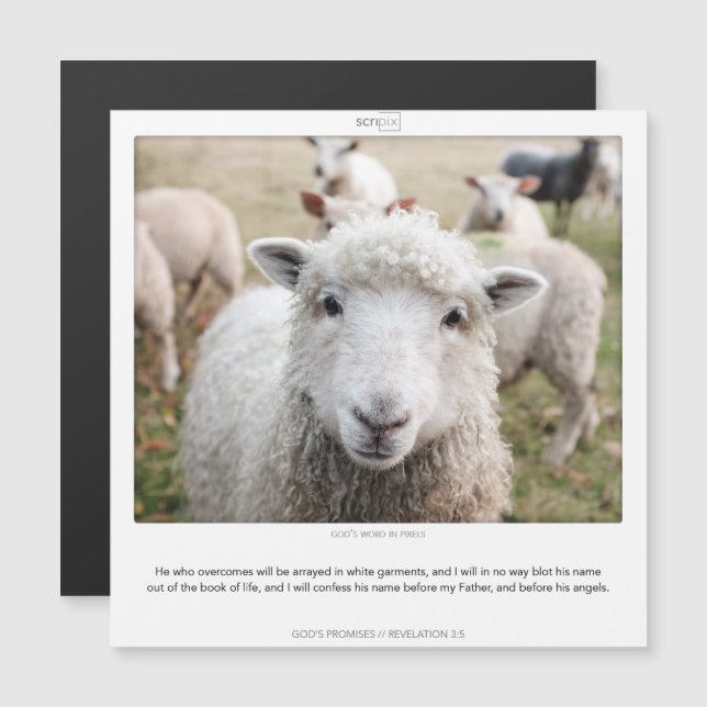 Upptäckt 3:5 GDS PROMISES SCRIPIX-kort Magnetisk Inbjudningskort (Fram/baksida)