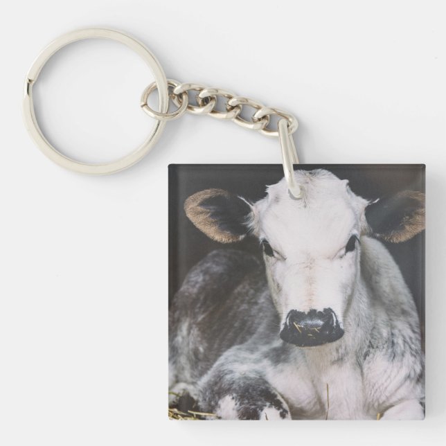 Upptagen dagskörd (Framsidan)