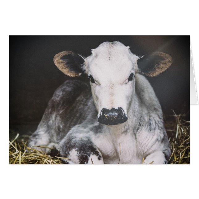 Upptagen dagskörd hälsningskort (Framsidan Horizontal)