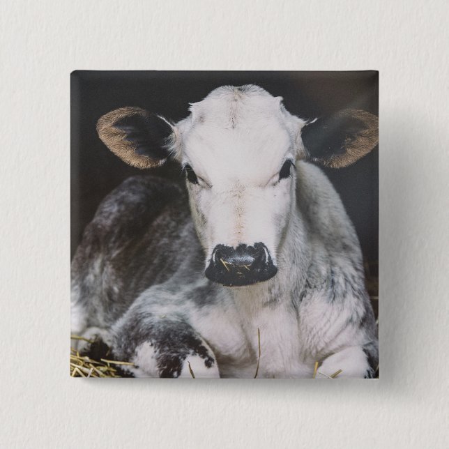 Upptagen dagskörd knapp (Framsida)