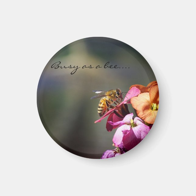 Upptagen som bibelöning... magnet (Framsidan)