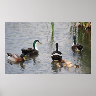 Upptagna Doin ingenting Poster
