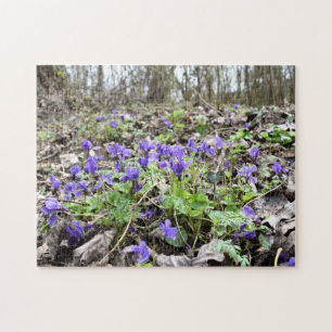Uppvaknande av vår , skogsblommor , marsvioliner pussel