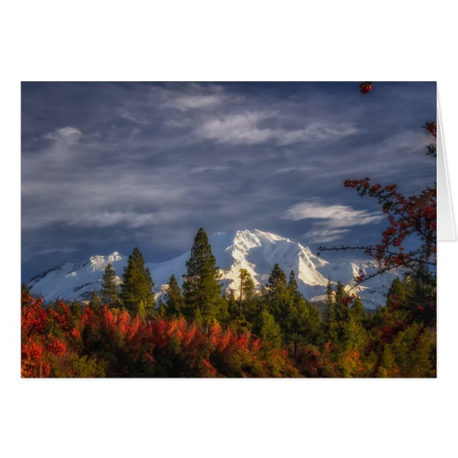 Uppvaknande Hälsningskort (Framsidan Horizontal)