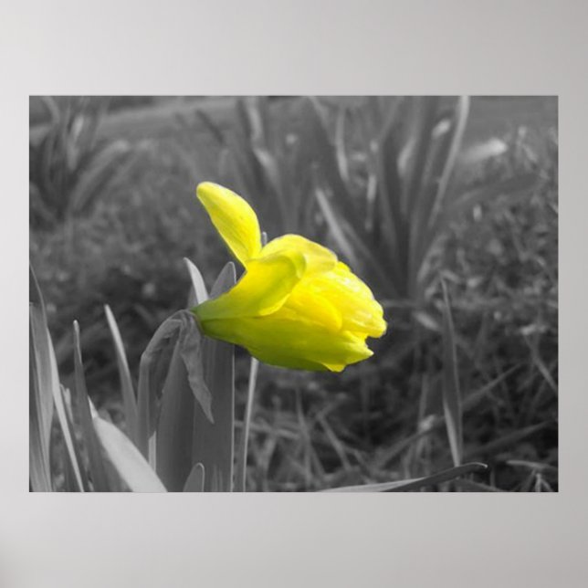 Uppvaknande Poster (Framsidan)