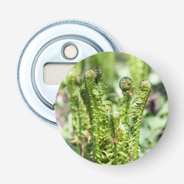 Uppvaknande ung ormbunke i trädgården  flasköppnare