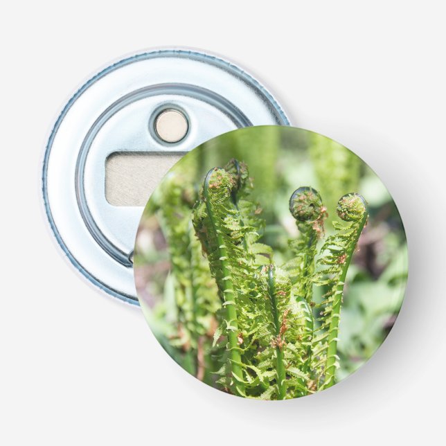 Uppvaknande ung ormbunke i trädgården  flasköppnare (Framsidan)