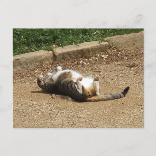 Uppvaknande Vykort (Framsida)