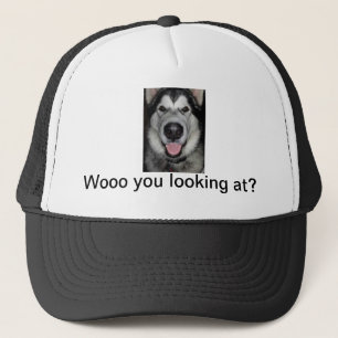 Uppvakta dig tittar. Alaskabo malamute Keps
