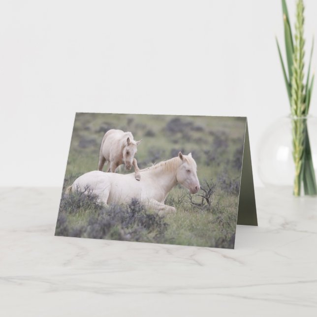 Uppvakta hälsningskort för Brother Vild Horse Kort (Framsida)
