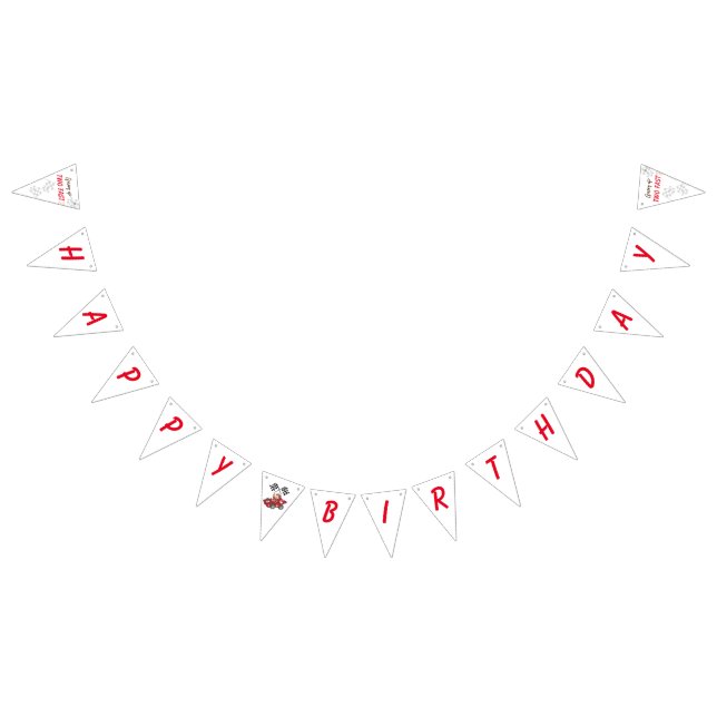 Uppväxt två snabba födelsedag vimplar (Alla)