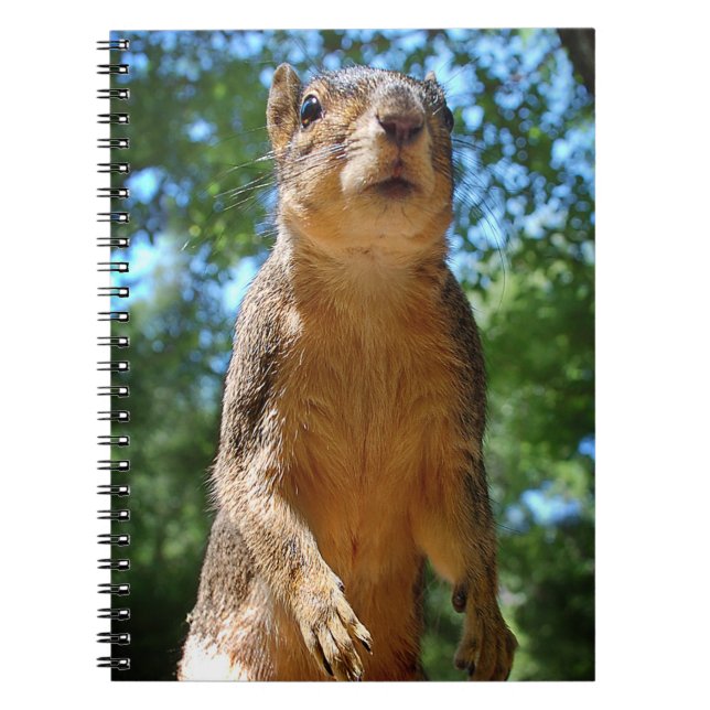 Upright Squirrel Anteckningsbok Med Spiral (Framsidan)