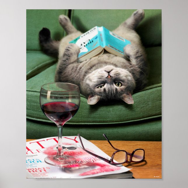 Upside Down Cat Reading Book Poster (Framsidan)