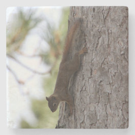 Upside Down Squirrel Stenunderlägg