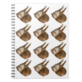 Upside-Down Sunshine Cat Anteckningsbok