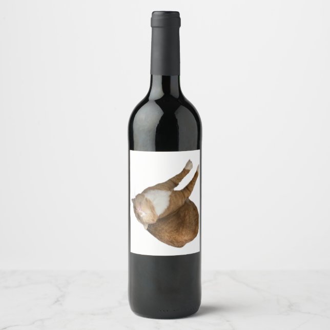 Upside-Down Sunshine Vinflaska Etikett (Framsida)