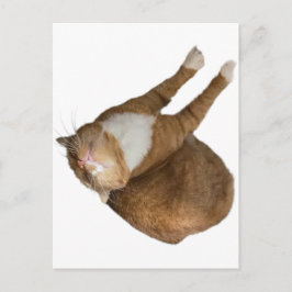 Upside-Down Sunshine Vykort