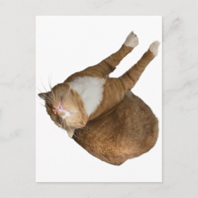 Upside-Down Sunshine Vykort (Framsida)