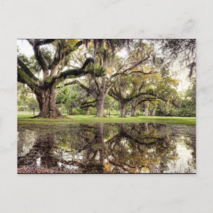 Uptown New Orleans Rain Vykort