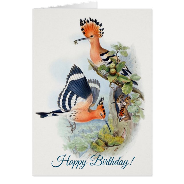 Upupa Epops Grattis på födelsedagen Hälsningskort (Framsidan)