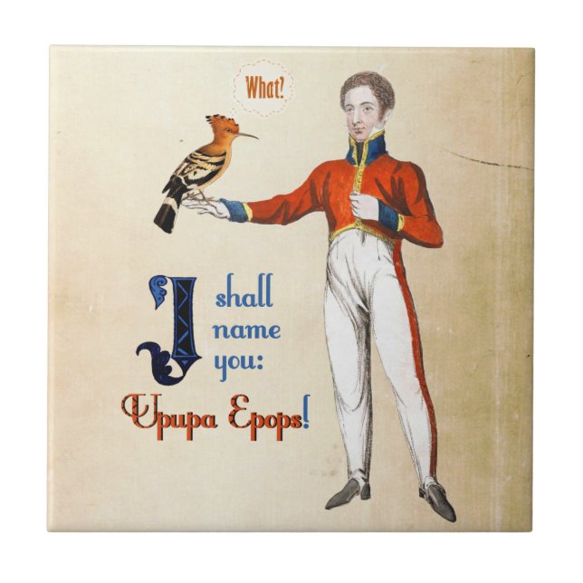 Upupa Epops Kakelplatta (Framsidan)