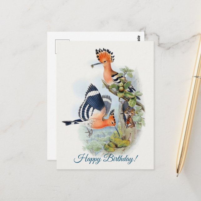 Upupa Epops Vykort (Fram/Back In Situ)