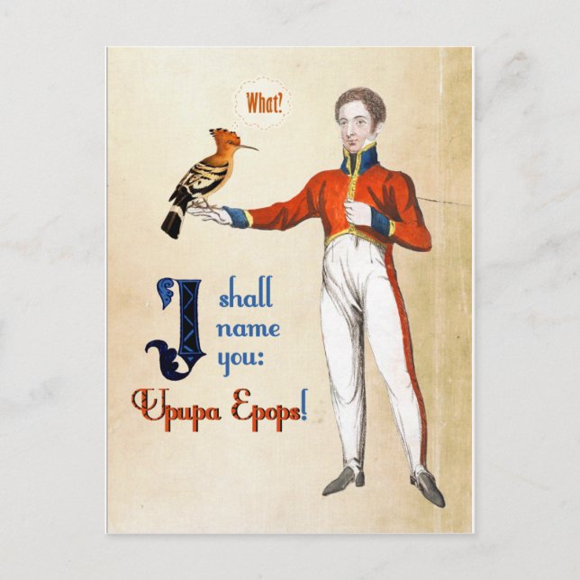 Upupa Epops Vykort (Framsida)