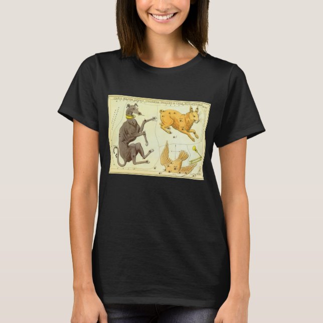 Urania's Mirror, Antik Astronomi Himmelskarta T Shirt (Framsida)