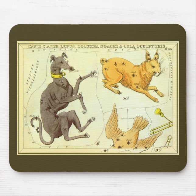 Urania's spegel, antikt astronomiskt kartverk över musmatta (Framsidan)