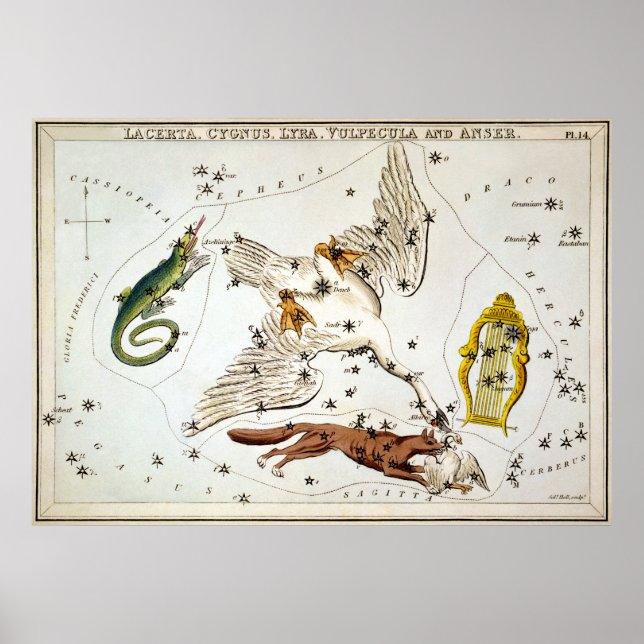 Uranias Spegel - Lacerta, Cygnus, Lyra, Vulpecula Poster (Framsidan)