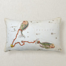 Uranias Spegel, Vintage Pisces Constellation Lumbarkudde
