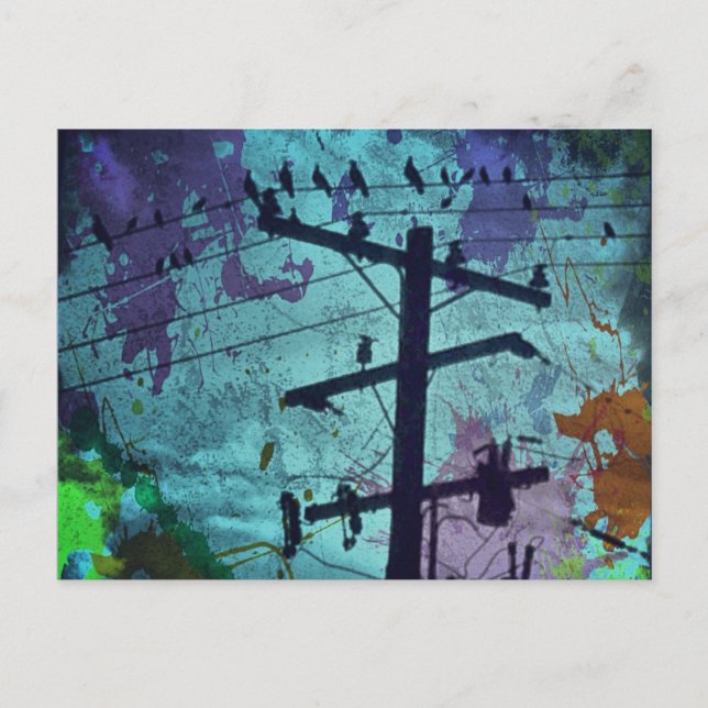 Urban Birds livskort Vykort (Framsida)