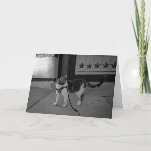 Urban cat Vibes notecard Meddelande (Framsida)