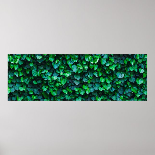 Urban djungel inomhus  poster (Framsidan)