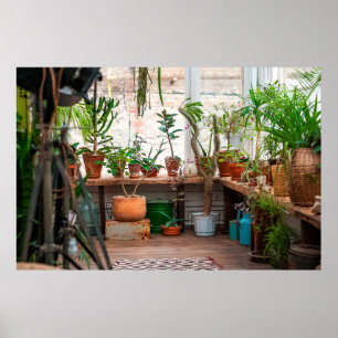 Urban djungel. Vinterträdgård med växter, blommor. Poster